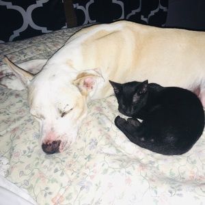 Meet your Posher, Valerie